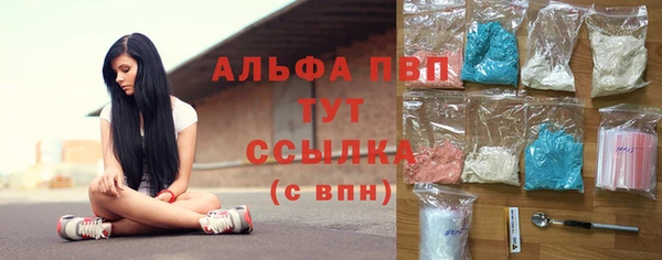 спиды Белокуриха