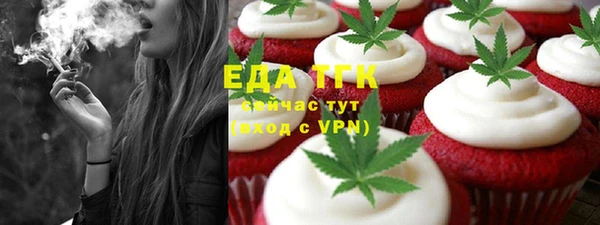 дмт Богданович