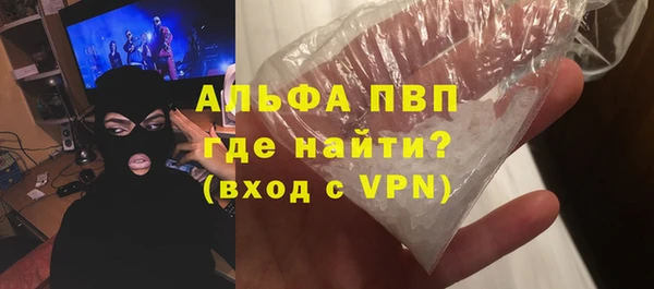 дмт Богданович