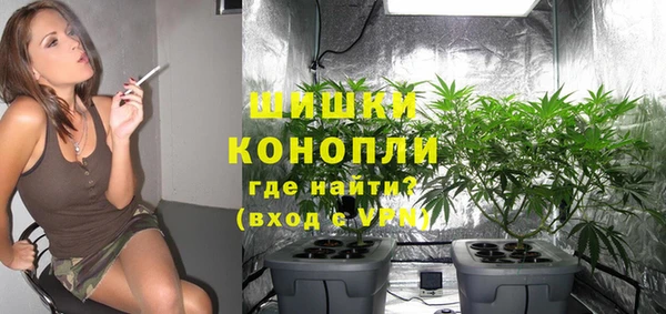 дмт Богданович