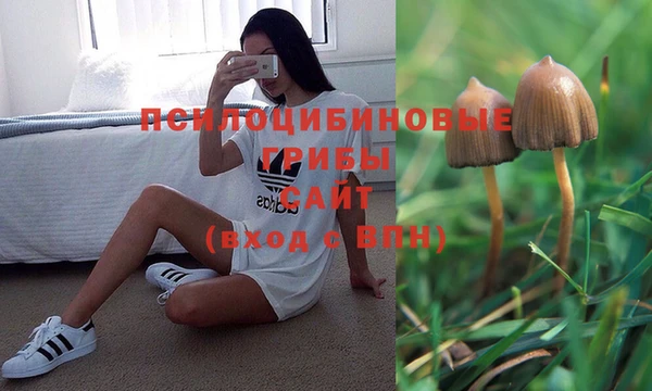 спиды Белокуриха