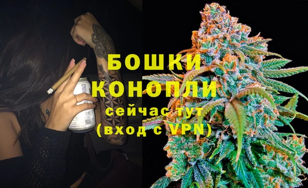 спиды Белокуриха