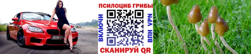 Псилоцибиновые грибы ЛСД где купить Мышкин